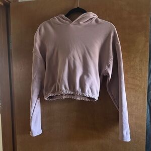 Babaton Mauve Cropped Hoodie
